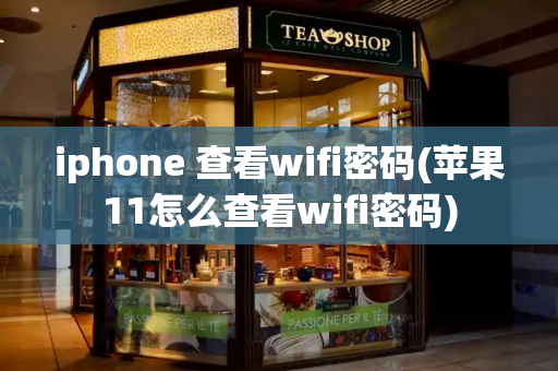 iphone 查看wifi密码(苹果11怎么查看wifi密码)