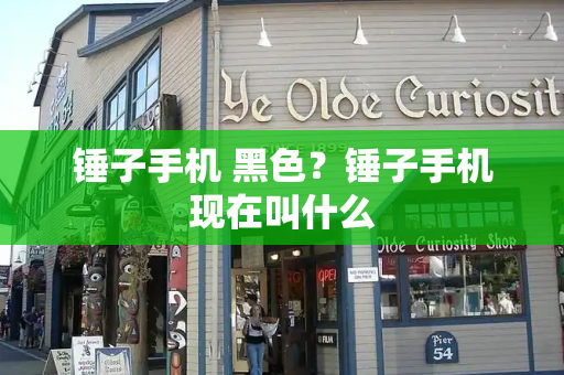 锤子手机 黑色？锤子手机现在叫什么-第1张图片-星选测评