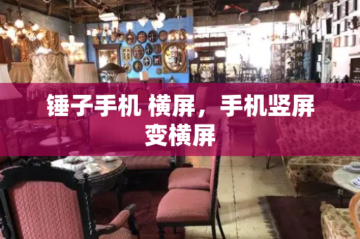 锤子手机 横屏，手机竖屏变横屏-第1张图片-星选测评