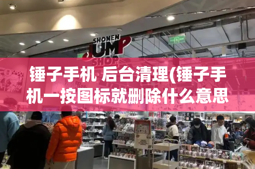 锤子手机 后台清理(锤子手机一按图标就删除什么意思)
