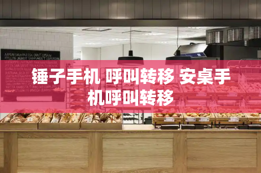 锤子手机 呼叫转移 安桌手机呼叫转移