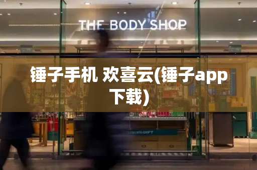 锤子手机 欢喜云(锤子app下载)-第1张图片-星选测评