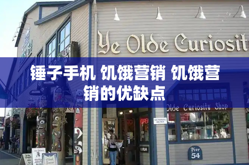 锤子手机 饥饿营销 饥饿营销的优缺点-第1张图片-星选测评