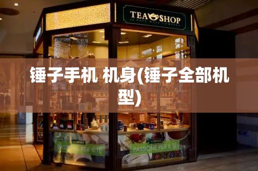 锤子手机 机身(锤子全部机型)-第1张图片-星选测评