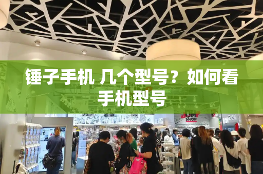 锤子手机 几个型号？如何看手机型号