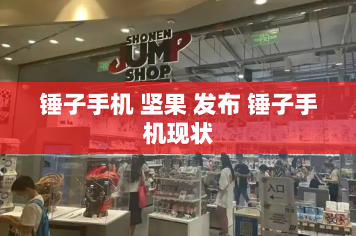 锤子手机 坚果 发布 锤子手机现状