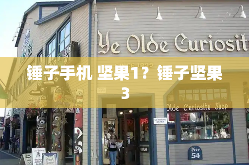 锤子手机 坚果1？锤子坚果3