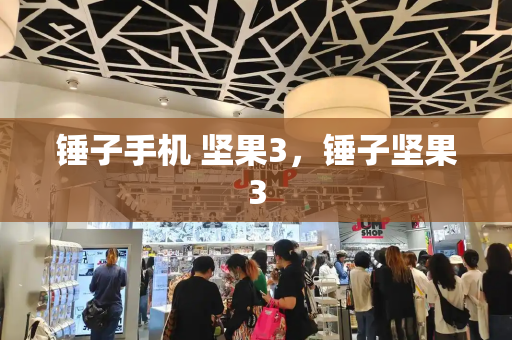 锤子手机 坚果3，锤子坚果3-第1张图片-星选测评