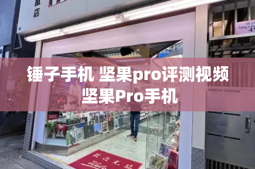 锤子手机 坚果pro评测视频 坚果Pro手机