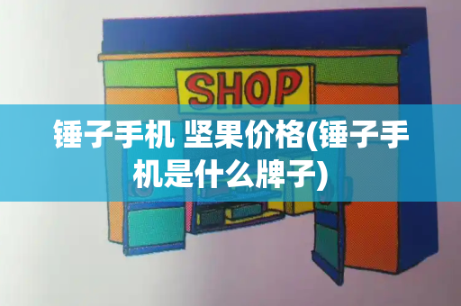 锤子手机 坚果价格(锤子手机是什么牌子)-第1张图片-星选测评