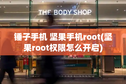 锤子手机 坚果手机root(坚果root权限怎么开启)