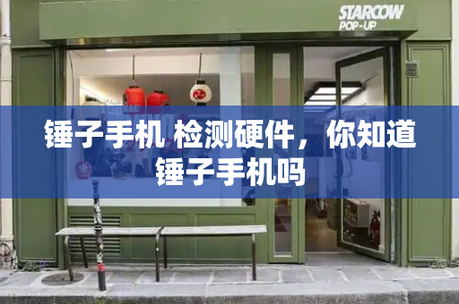 锤子手机 检测硬件，你知道锤子手机吗-第1张图片-星选测评