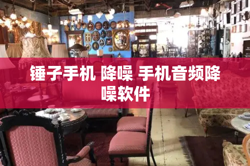 锤子手机 降噪 手机音频降噪软件