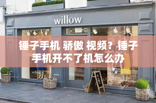 锤子手机 骄傲 视频？锤子手机开不了机怎么办-第1张图片-星选测评