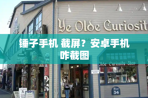 锤子手机 截屏？安卓手机咋截图-第1张图片-星选测评