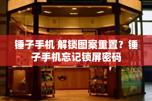 锤子手机 解锁图案重置？锤子手机忘记锁屏密码-第1张图片-星选测评