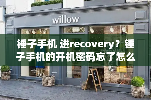 锤子手机 进recovery？锤子手机的开机密码忘了怎么办-第1张图片-星选测评