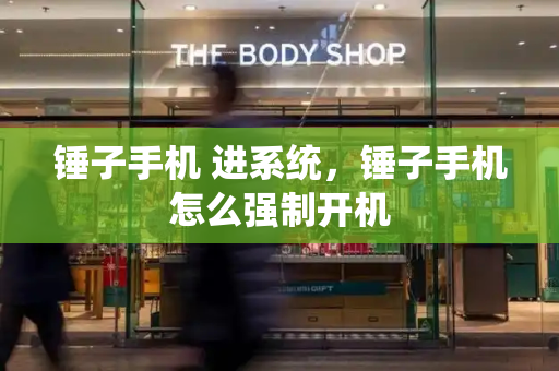 锤子手机 进系统，锤子手机怎么强制开机-第1张图片-星选测评