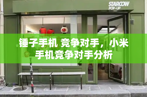 锤子手机 竞争对手，小米手机竞争对手分析-第1张图片-星选测评