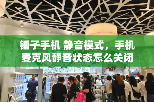 锤子手机 静音模式，手机麦克风静音状态怎么关闭