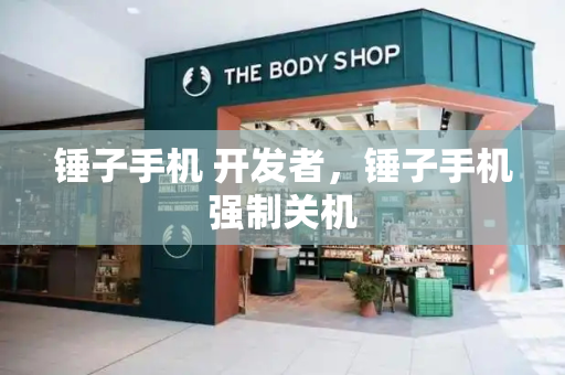 锤子手机 开发者，锤子手机强制关机