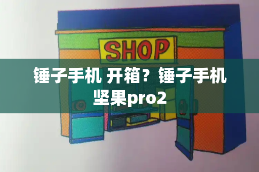 锤子手机 开箱？锤子手机坚果pro2
