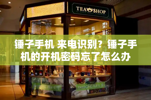 锤子手机 来电识别？锤子手机的开机密码忘了怎么办-第1张图片-星选测评