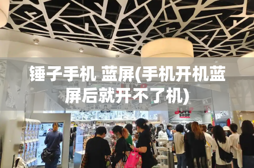 锤子手机 蓝屏(手机开机蓝屏后就开不了机)