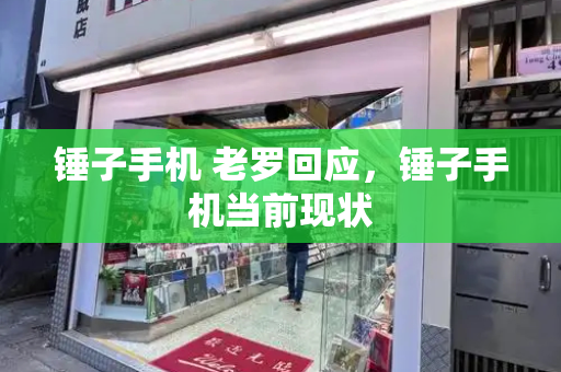 锤子手机 老罗回应，锤子手机当前现状
