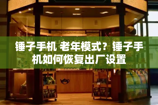 锤子手机 老年模式？锤子手机如何恢复出厂设置-第1张图片-星选测评