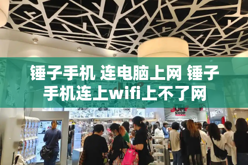 锤子手机 连电脑上网 锤子手机连上wifi上不了网