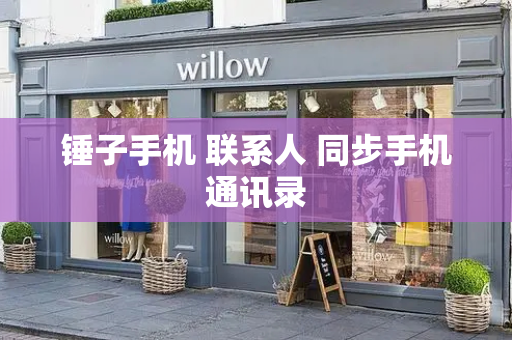 锤子手机 联系人 同步手机通讯录-第1张图片-星选测评