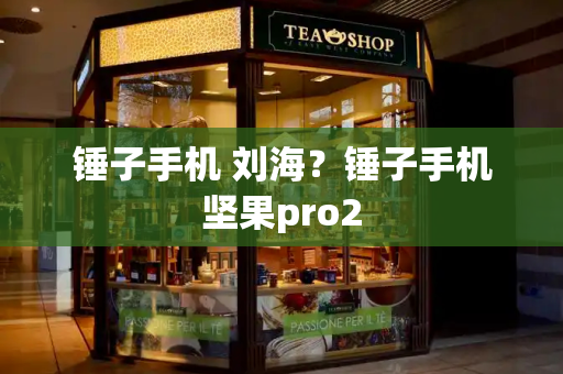 锤子手机 刘海？锤子手机坚果pro2
