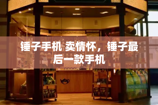 锤子手机 卖情怀，锤子最后一款手机-第1张图片-星选测评