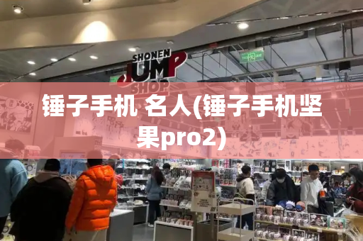 锤子手机 名人(锤子手机坚果pro2)