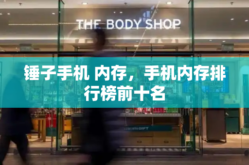 锤子手机 内存，手机内存排行榜前十名-第1张图片-星选测评