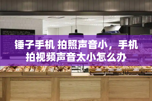 锤子手机 拍照声音小，手机拍视频声音太小怎么办