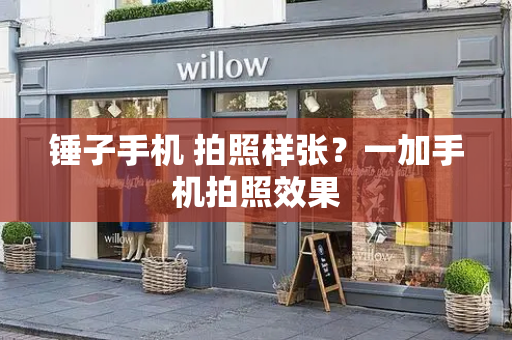 锤子手机 拍照样张？一加手机拍照效果-第1张图片-星选测评