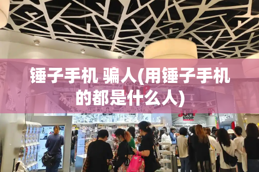 锤子手机 骗人(用锤子手机的都是什么人)-第1张图片-星选测评