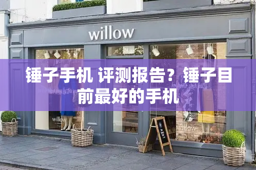 锤子手机 评测报告？锤子目前最好的手机-第1张图片-星选测评