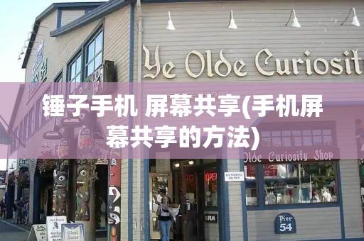 锤子手机 屏幕共享(手机屏幕共享的方法)-第1张图片-星选测评