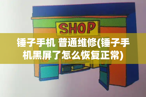 锤子手机 普通维修(锤子手机黑屏了怎么恢复正常)-第1张图片-星选测评