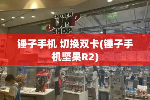 锤子手机 切换双卡(锤子手机坚果R2)