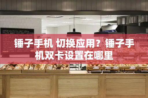 锤子手机 切换应用？锤子手机双卡设置在哪里-第1张图片-星选测评