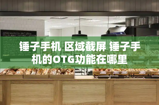 锤子手机 区域截屏 锤子手机的OTG功能在哪里