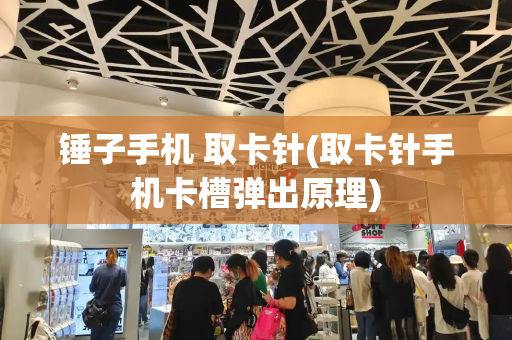 锤子手机 取卡针(取卡针手机卡槽弹出原理)