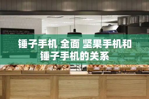 锤子手机 全面 坚果手机和锤子手机的关系