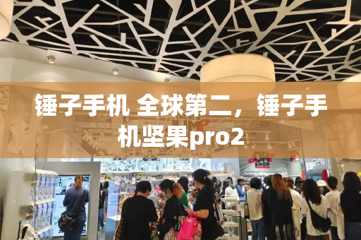 锤子手机 全球第二，锤子手机坚果pro2
