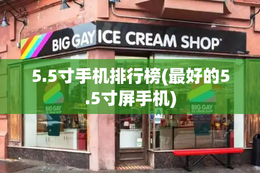 5.5寸手机排行榜(最好的5.5寸屏手机)-第1张图片-星选测评