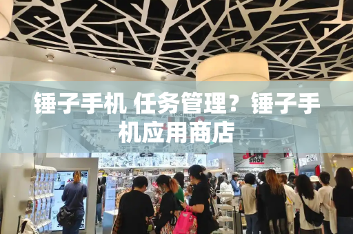 锤子手机 任务管理？锤子手机应用商店-第1张图片-星选测评